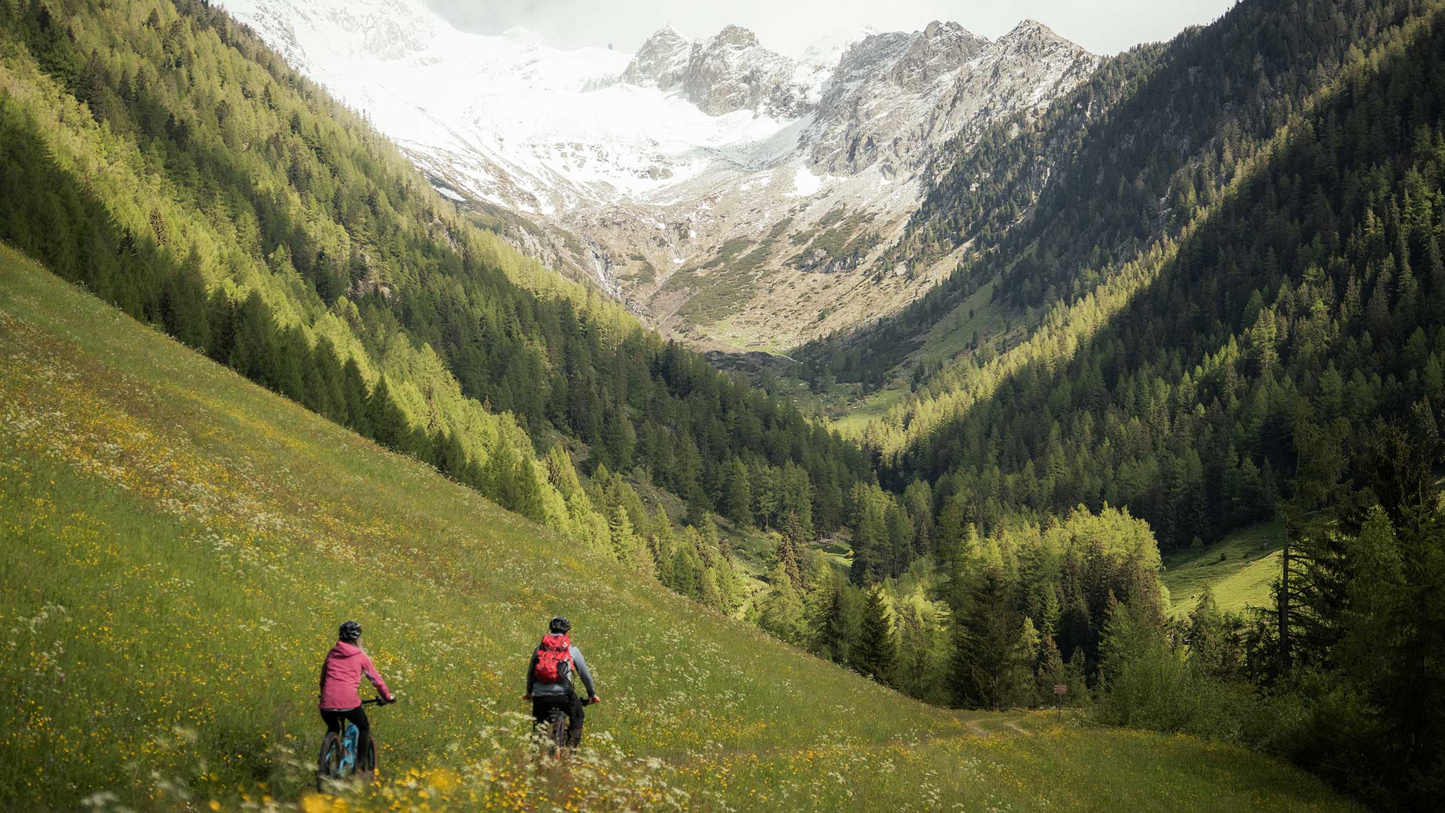 Zwei Radfahrer fahren durch ein grünes Bergtal mit schneebedeckten Gipfeln in der Ferne. - Apartments & Chalet Selm