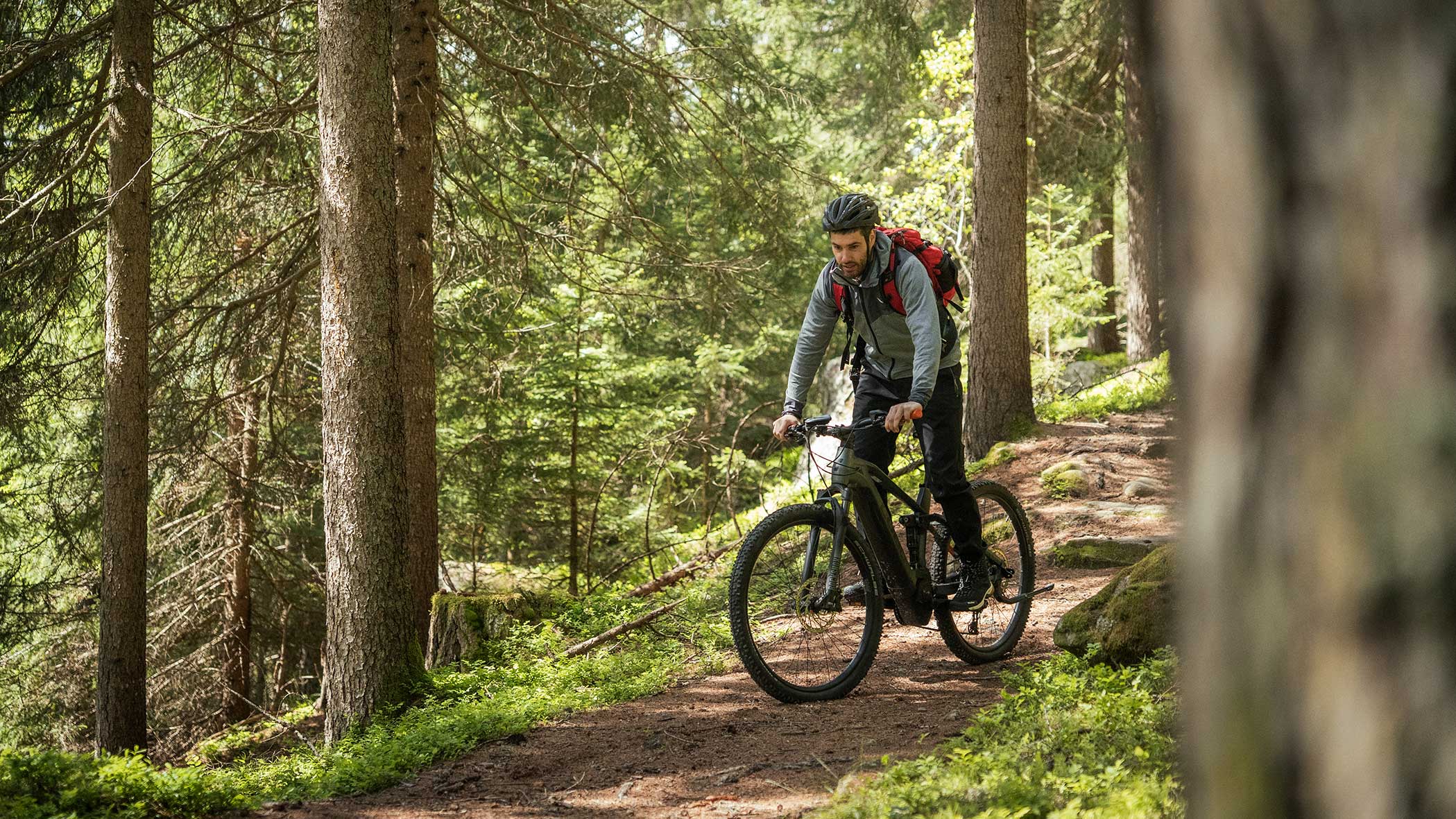 Ein Mann fährt mit seinem Mountainbike auf einem unbefestigten Weg durch einen Wald mit hohen grünen Bäumen. - Apartments & Chalet Selm