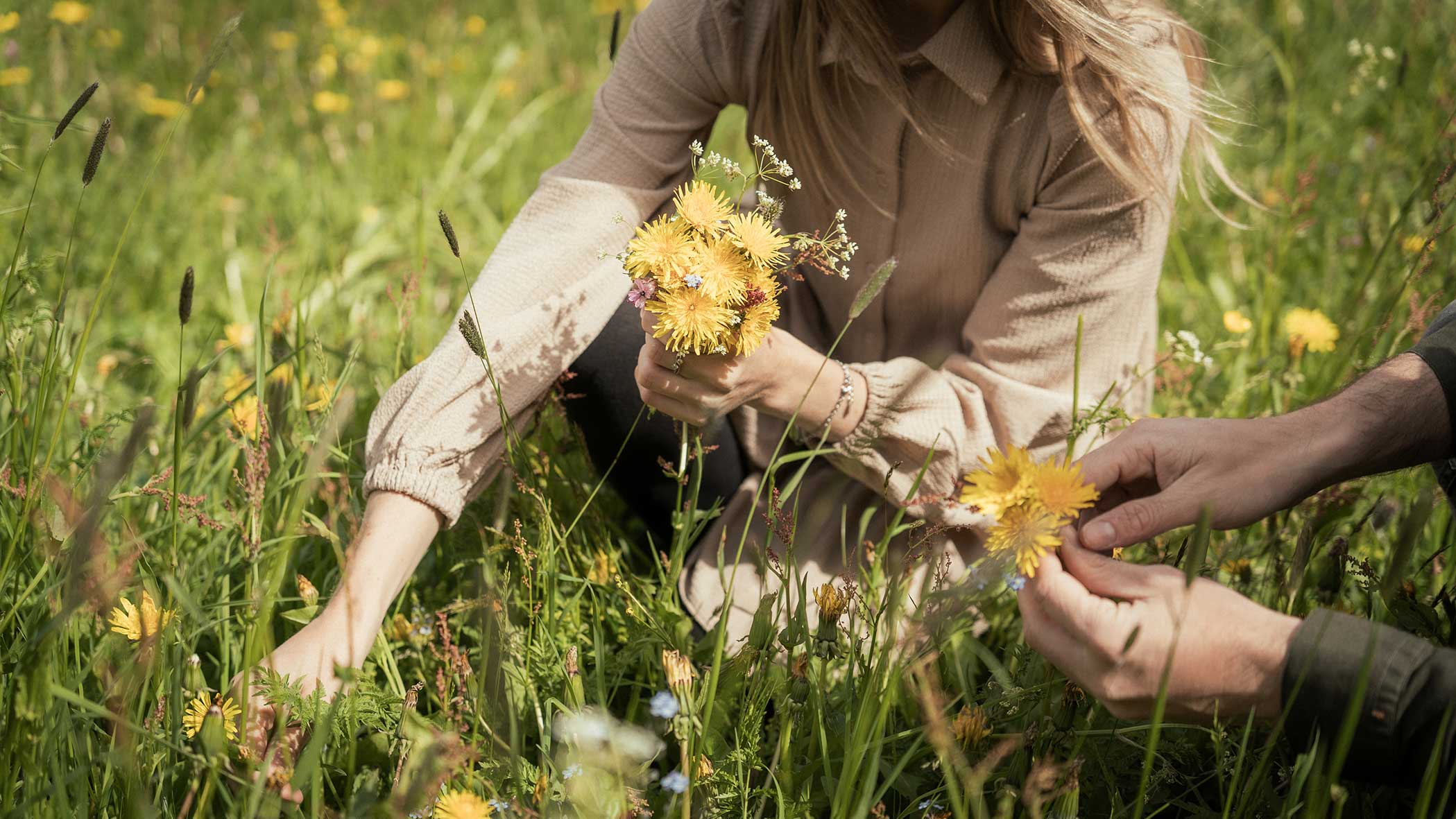 Zwei Personen pflücken gelbe Wildblumen auf einer Wiese und halten kleine Blumensträuße in der Hand. - Apartments & Chalet Selm