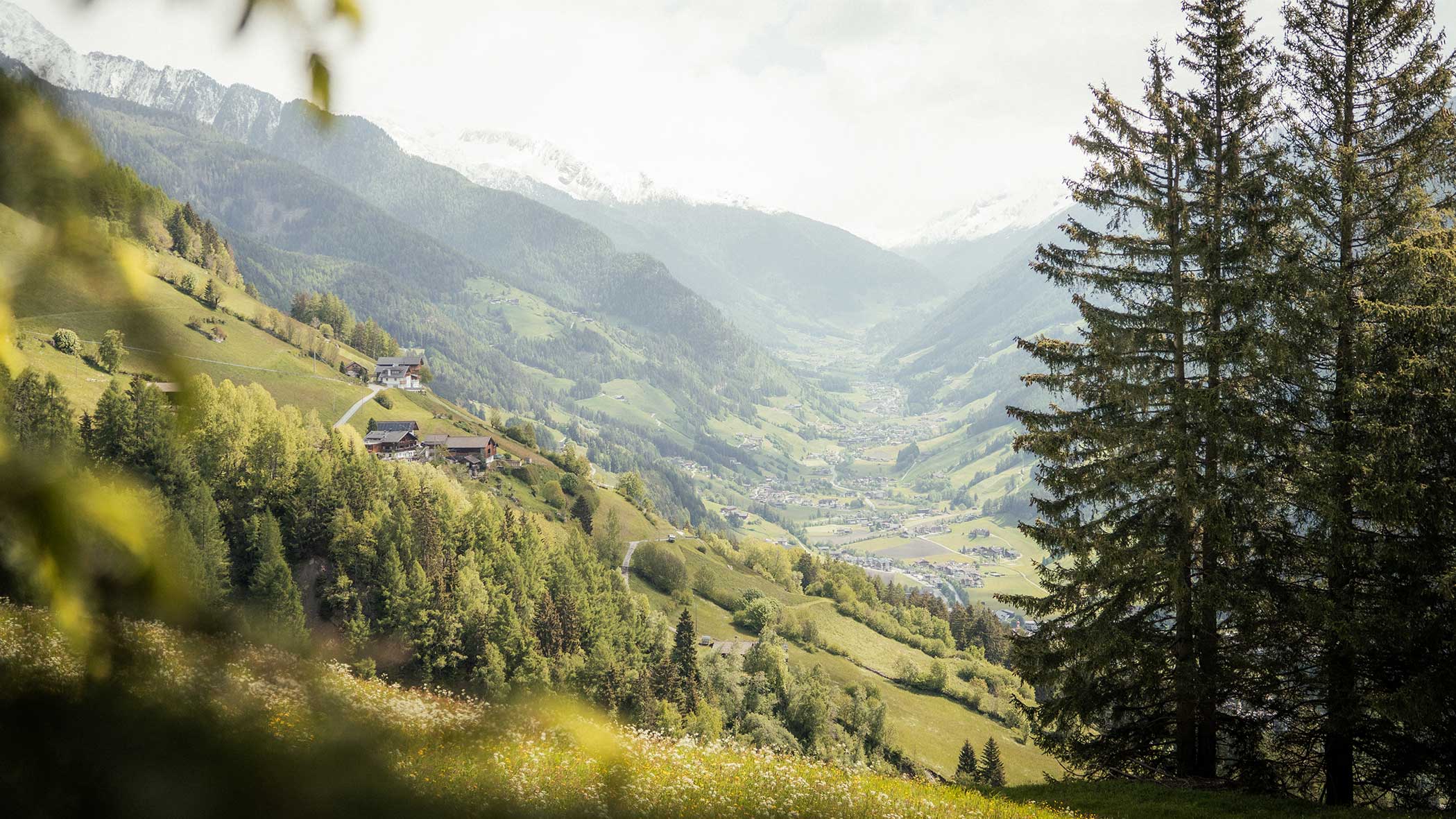 Ein üppig grünes Tal mit verstreuten Häusern, umgeben von Bergen und Kiefern unter einem bewölkten Himmel. - Apartments & Chalet Selm