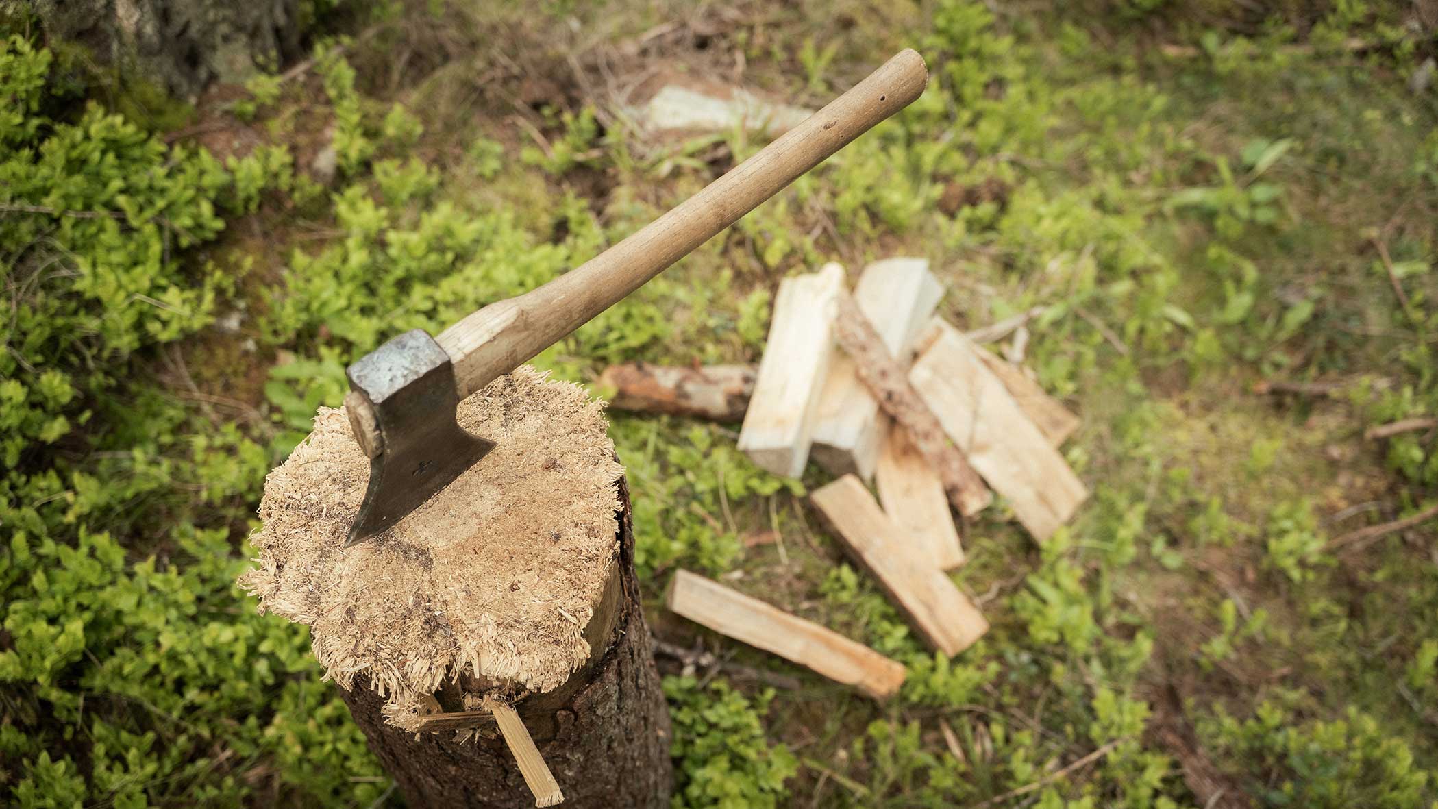 Eine Axt, die in einem Baumstumpf steckt, und gehacktes Brennholz, das auf dem Gras in der Nähe verstreut liegt. - Apartments & Chalet Selm