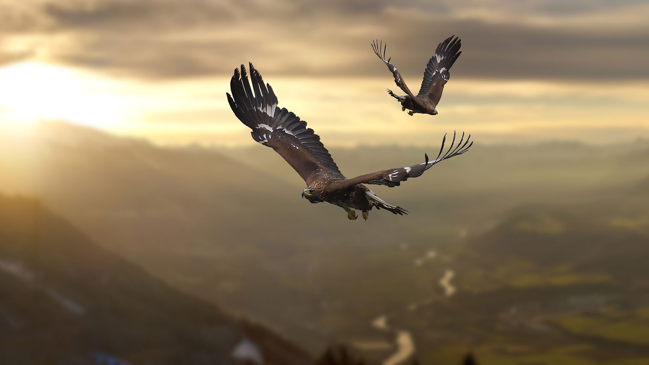 Zwei Adler schweben über einem sonnenbeschienenen Tal mit Bergen und einem gewundenen Fluss im Hintergrund. - Apartments & Chalet Selm